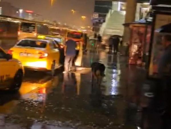 Bahçelievler’de yağıştan kaçan köpek taksiye sığındı
