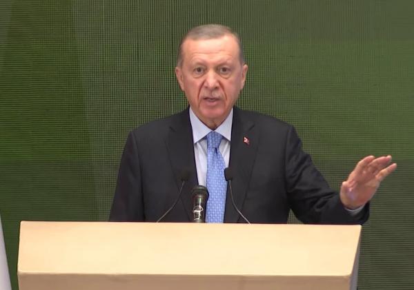 Barış TAŞKIRAN/ANKARA, (DHA)- CUMHURBAŞKANI Recep Tayyip Erdoğan, Cezayir- Türkiye İş