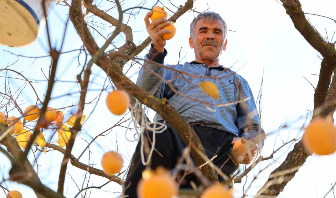 KAHRAMANMARAŞ MERKEZLİ MEYDANA GELEN