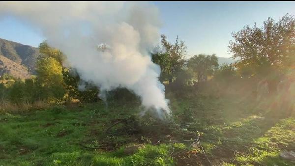 diyarbakirda 1 ton 168 kilo esrar ile 243 bin kok hint keneviri ve skunk ele gecirildi 894fa4e