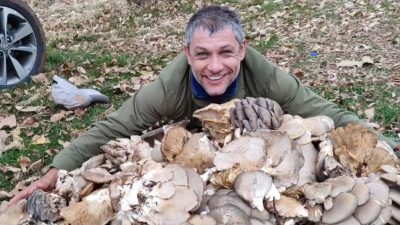 KAHRAMANMARAŞ'TA 5-6 KİLO ARASINDA OLAN İSTİRİDYE MANTARI  GÖRENLERİ ŞAŞIRTTI.