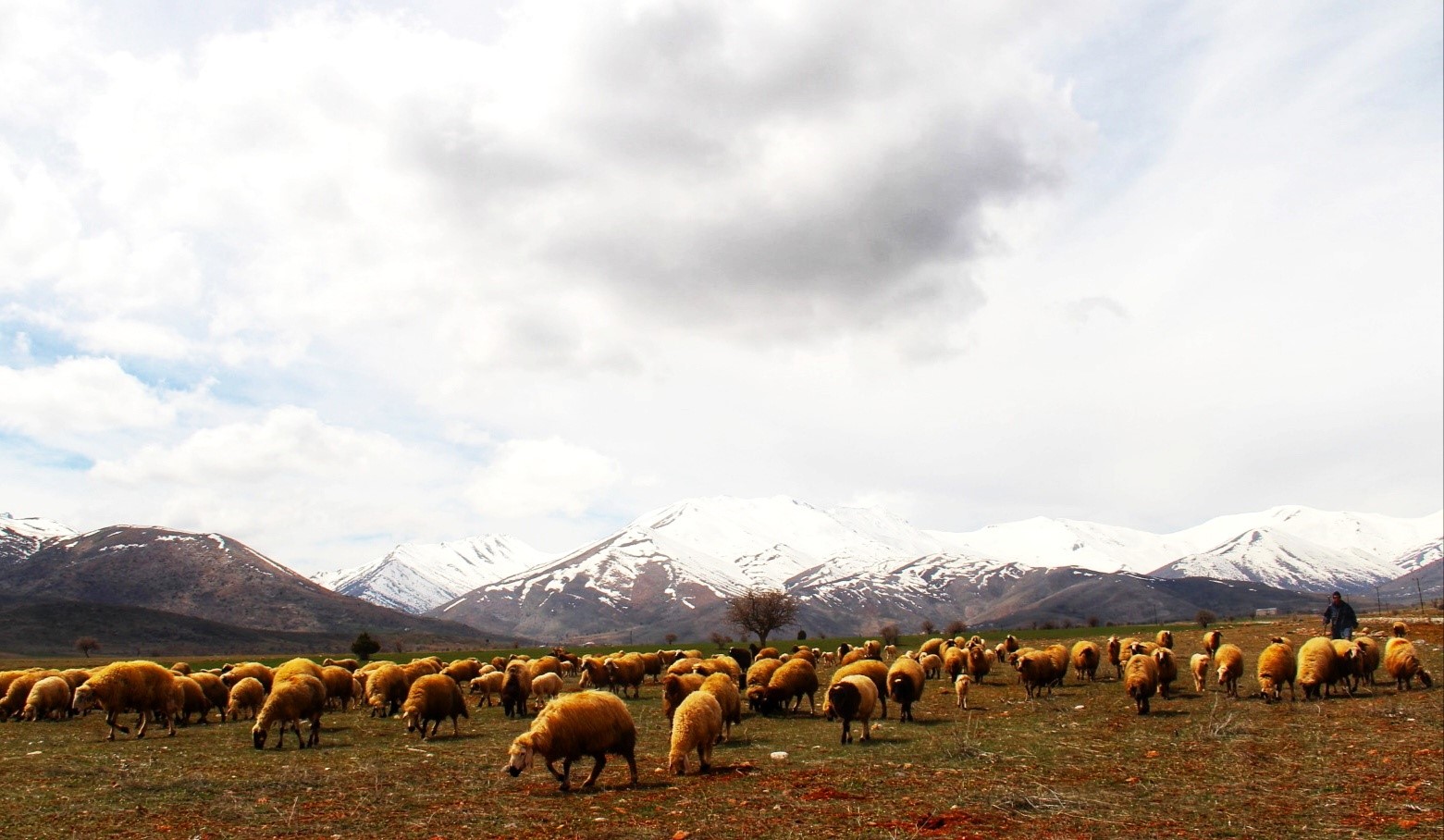 KAHRAMANMARAŞ’IN  3050 METRE YÜKSEKLİĞİNDE EN BÜYÜK DAĞLARINDAN BİRİ OLAN