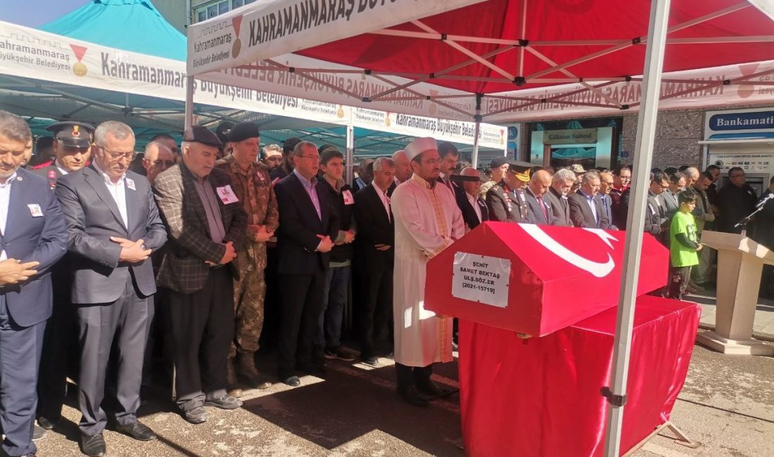 VAN’IN BAŞKALE İLÇESİNDE, PKK’LI TERÖRİSTLER TARAFINDAN YERLEŞTİRİLEN EL YAPIMI PATLAYICININ