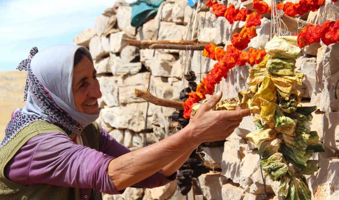 KAHRAMANMARAŞ'IN KIRSAL MAHALLELERİNDE, YAZIN