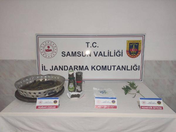 Emre ÖNCEL/BAFRA (Samsun), (DHA)- SAMSUN’da yasa dışı kenevir ekip, kubar
