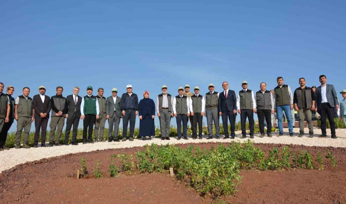 KAHRAMANMARAŞ’TA MİLLİ AĞAÇLANDIRMA GÜNÜ’NDE