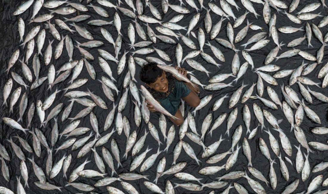 AKDENİZ BELEDİYESİNİN, BU YIL TÜRKİYE FOTOĞRAF SANATI FEDERASYONU (TFSF) DESTEĞİ