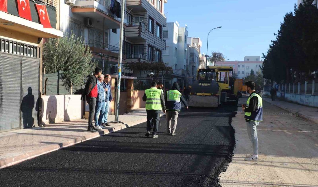 MERSİN'İN MERKEZ İLÇE AKDENİZ BELEDİYESİ FEN İŞLERİ MÜDÜRLÜĞÜ EKİPLERİ, İLÇEDE