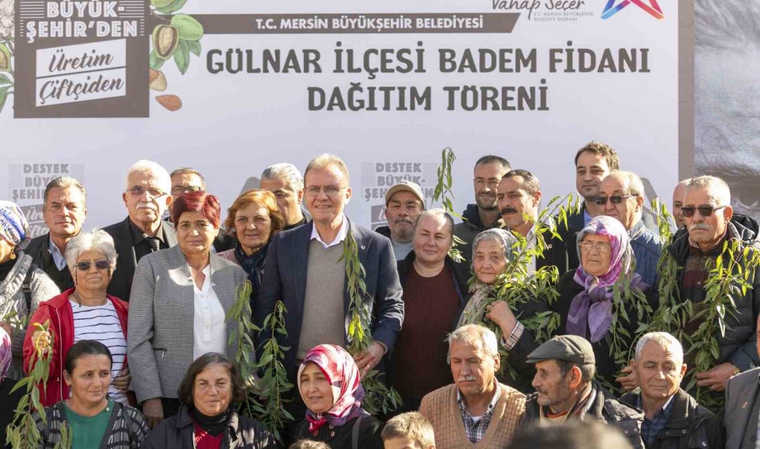 TARIMSAL DESTEK HAMLELERİNİ SÜRDÜREN MERSİN BÜYÜKŞEHİR BELEDİYESİ ‘BADEM FİDANI DAĞITIM