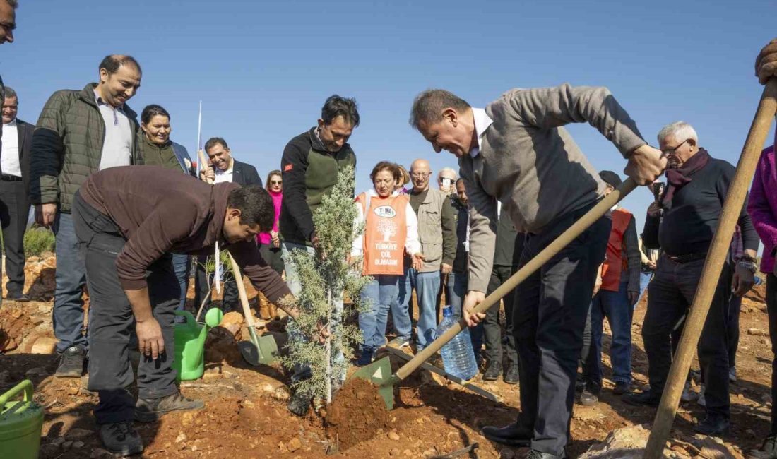 MERSİN BÜYÜKŞEHİR BELEDİYESİ TARAFINDAN