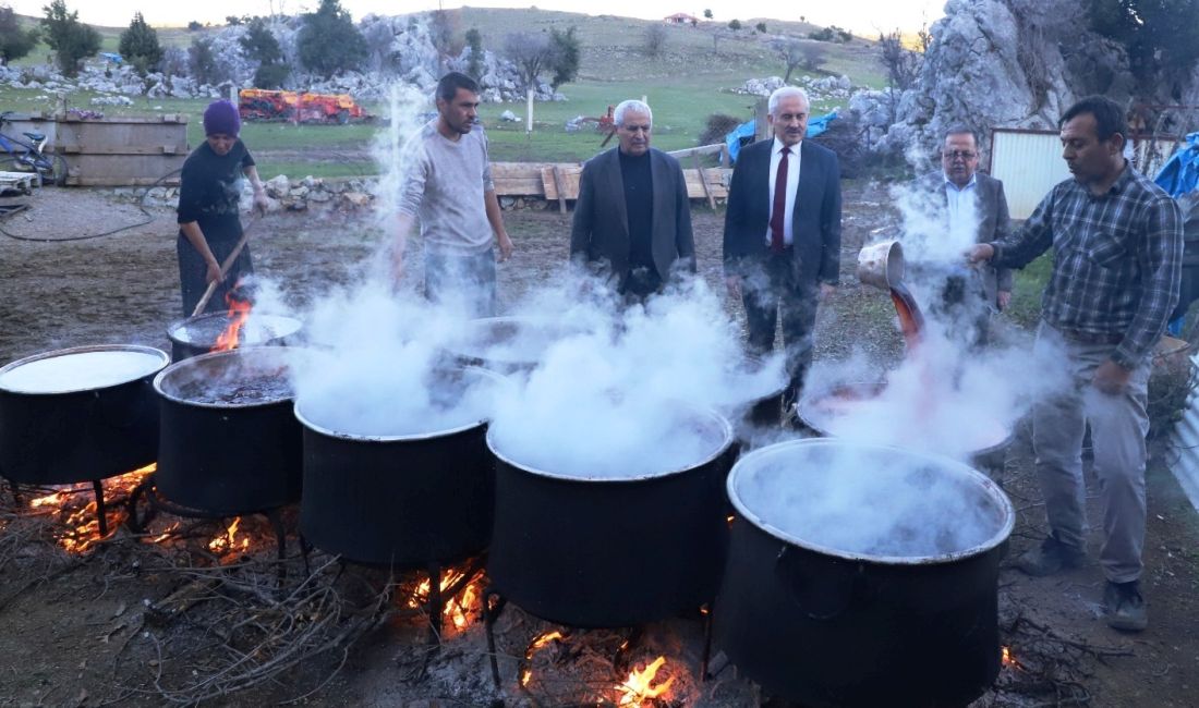 Kahramanmaraş’ın Andırın ilçesinde 1300 ila 2000 rakımlı dağlardan toplanan andız
