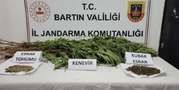 Hint keneviri ektiği sırada fotokapanın görüntülediği sanığa 3 yıl hapis