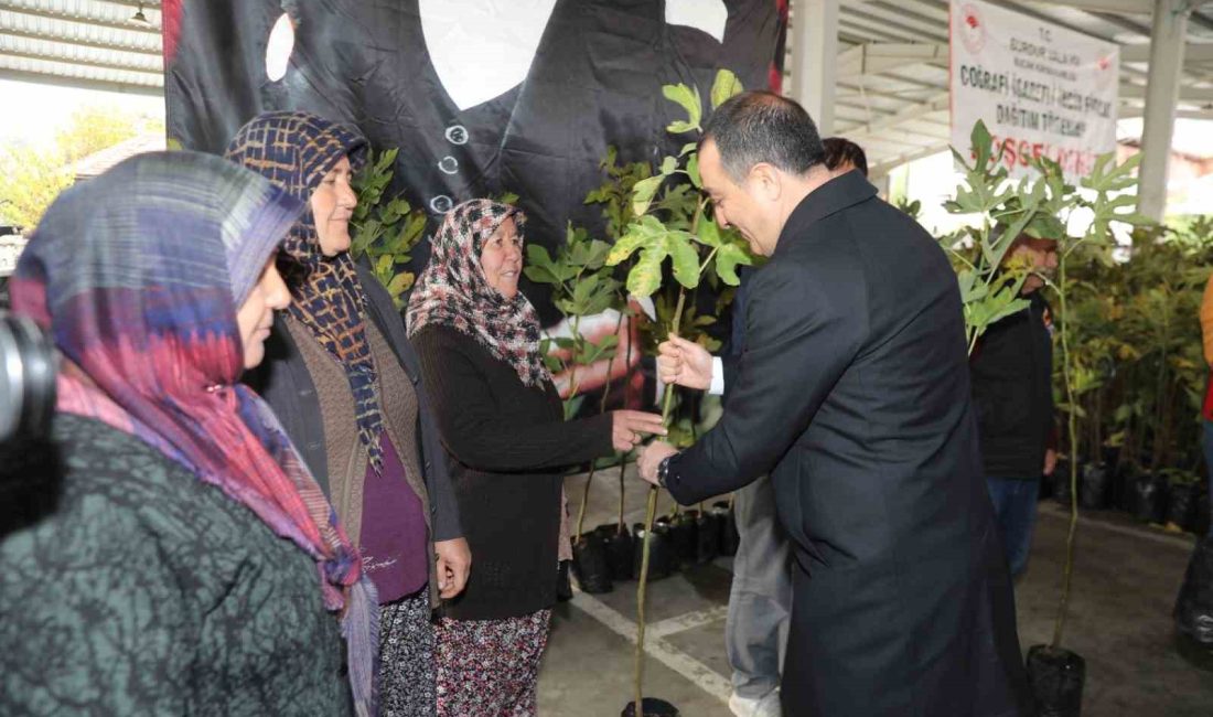 BURDUR’UN BUCAK İLÇESİNDE TARIM