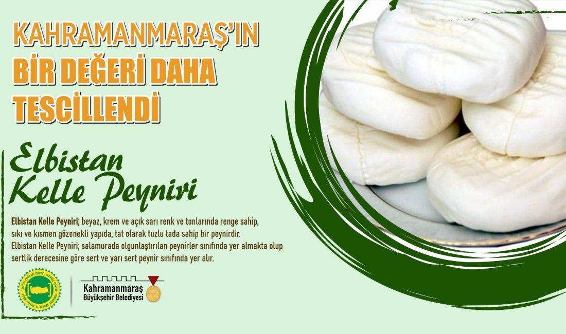 BÜYÜKŞEHİR BELEDİYESİ TARAFINDAN TÜRK PATENT VE MARKA KURUMUNA YAPILAN BAŞVURUYLA