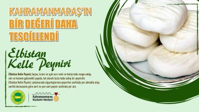 BÜYÜKŞEHİR BELEDİYESİ TARAFINDAN TÜRK PATENT VE MARKA KURUMUNA YAPILAN BAŞVURUYLA