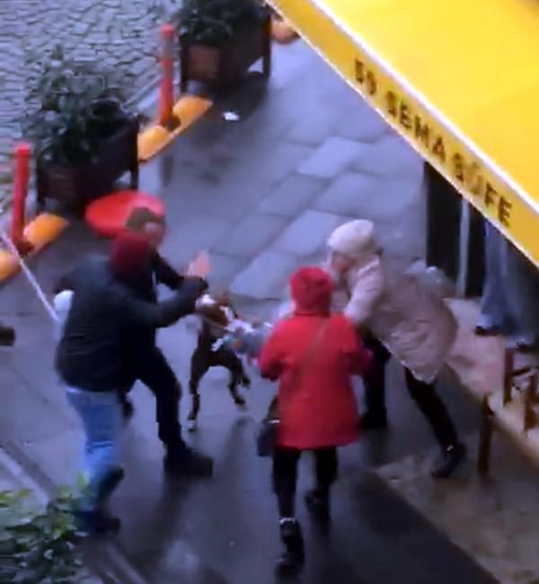 Abdullah YALÇIN/TEKİRDAĞ, (DHA)- TEKİRDAĞ’da Ayda İncekulak ile gezdirmeye çıkardığı köpeği,