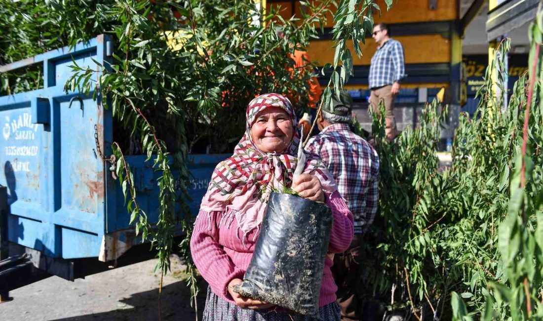 MERSİN BÜYÜKŞEHİR BELEDİYESİ, ÜRETİMİ