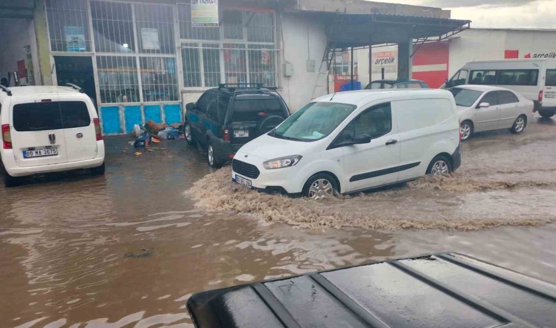 OSMANİYE'NİN DÜZİÇİ İLÇESİNDE BULUNAN