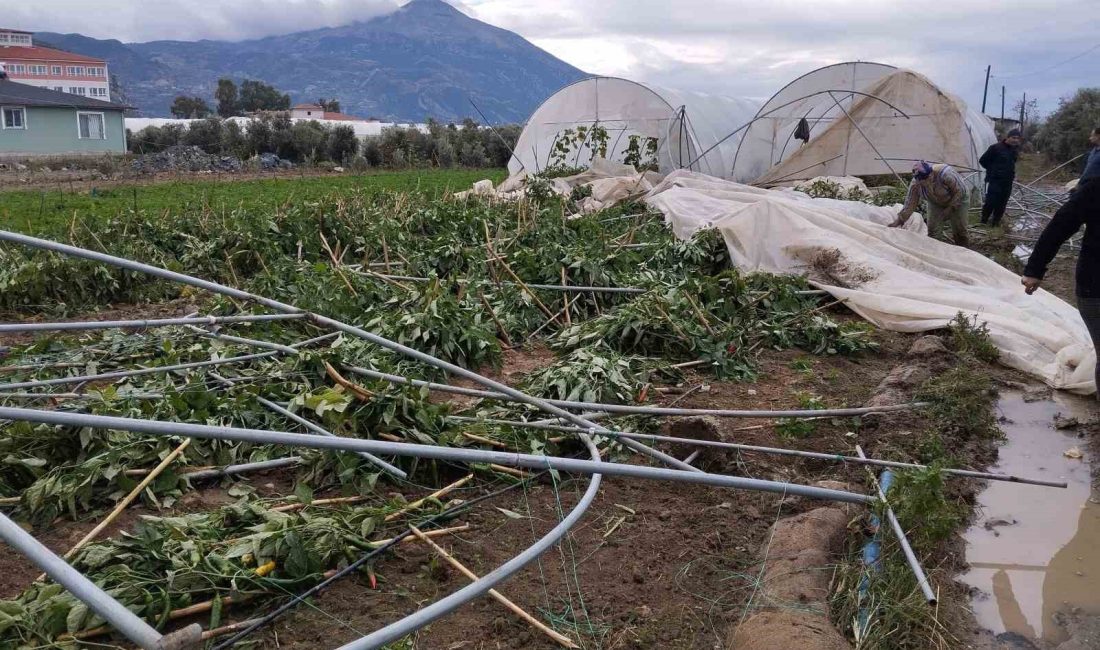 HATAY'IN  SAMANDAĞ İLÇESİNDE