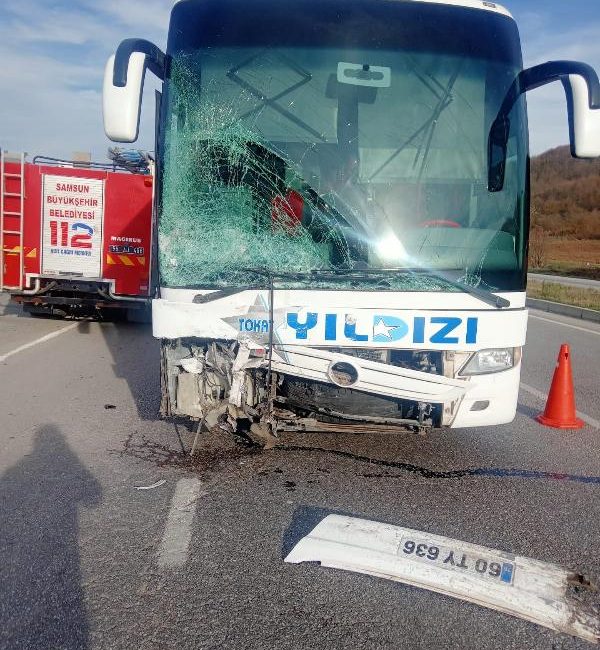 İLGİNİZİ ÇEKEBİLİR: Edirne’de barınaktan mama, battaniye ve halı çalındı İzmir’de