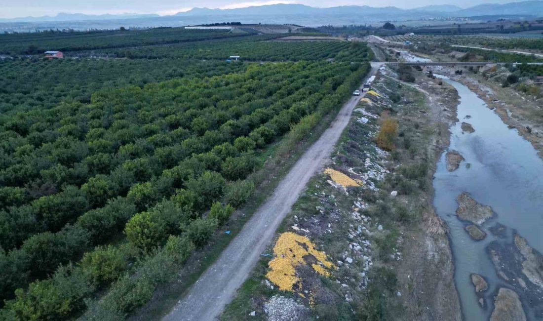 ADANA’NIN KOZAN İLÇESİNDE BAHÇEDE