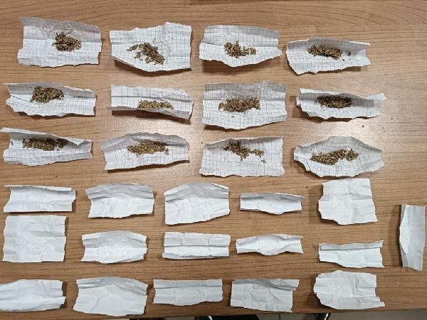 Van'da 'torbacı' operasyonu: 12 gözaltı