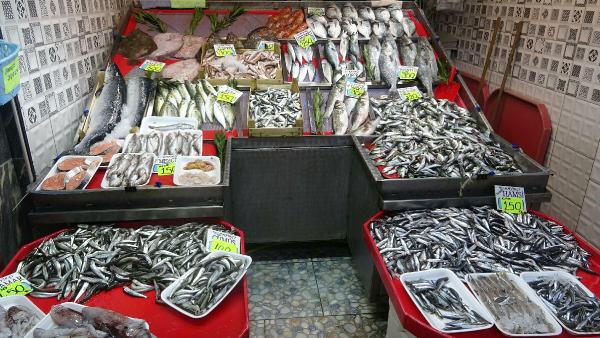 Av yasağı sonrası Marmara Denizi'nde hamsi bolluğu