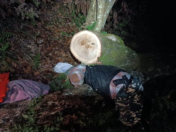 Ayhan ACAR/BARTIN, (DHA)- BARTIN’da odun toplamak için gitti ormanda kestiği ağacın