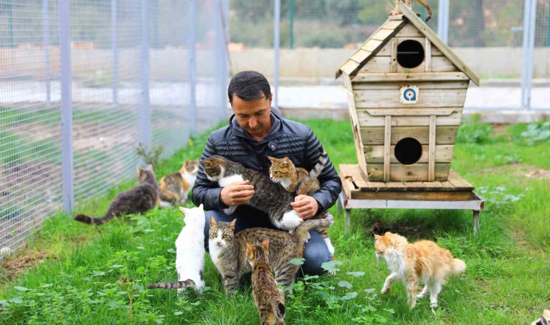 ANTALYA BÜYÜKŞEHİR BELEDİYESİ SOKAK HAYVANLARI GEÇİCİ BAKIMEVİ VE REHABİLİTASYON MERKEZİ'NDE