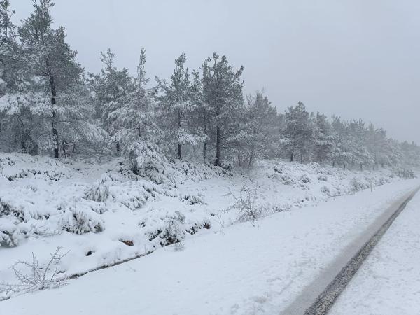Çanakkale'de kar yağışı / Ek fotoğraf