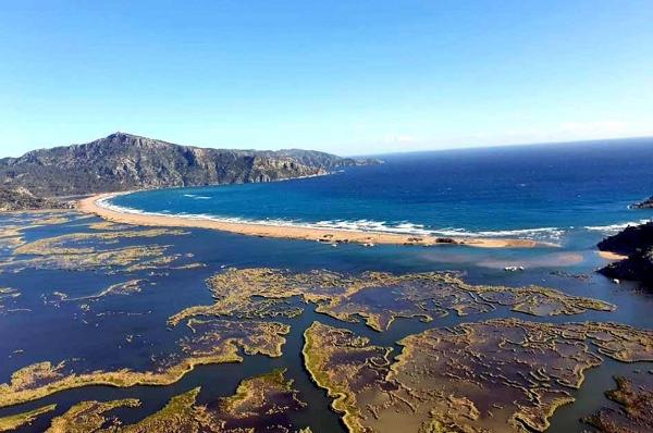 Cavit AKGÜN/MUĞLA, (DHA)- ÇEVRE ve Şehircilik Bakanlığı ile Deniz Kaplumbağaları