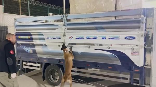 Eşya yüklü kamyonetteki buzdolabından 70 kilo skunk çıktı Eşya yüklü kamyonetteki buzdolabından 70 kilo skunk çıktı