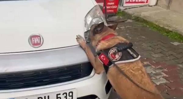 BALIKESİR, (DHA)- BALIKESİR’de, polisin şüphe üzerine durdurduğu hafif ticari araçta narkotik