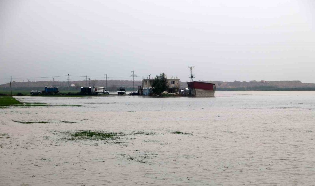 HATAY’DA ETKİLİ OLAN SAĞANAK YAĞIŞLA BİRLİKTE AMİK OVASINDA YÜZLERCE DÖNÜM