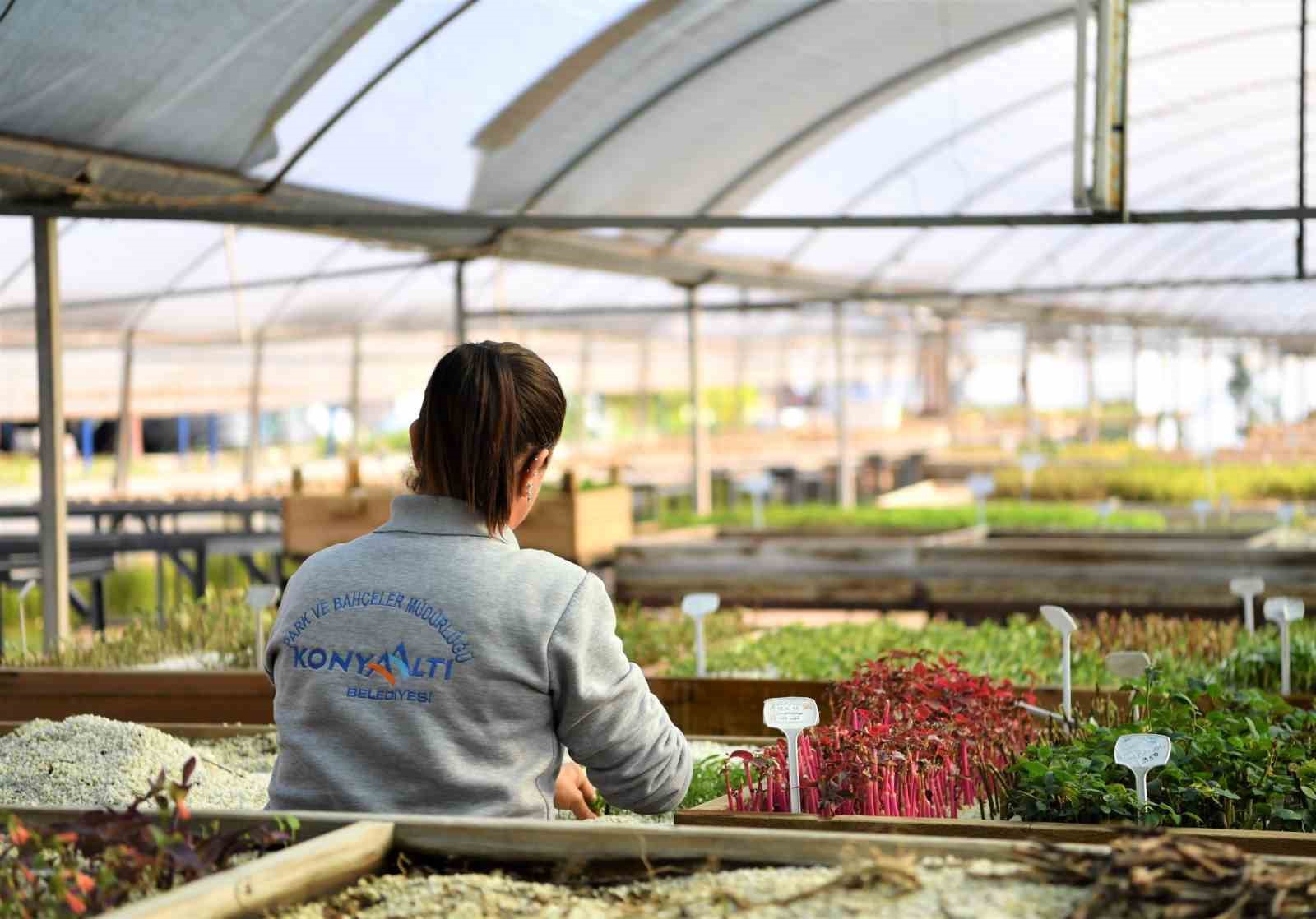 konyaaltinda 2024te hedef 300 bin cicek bb6e872