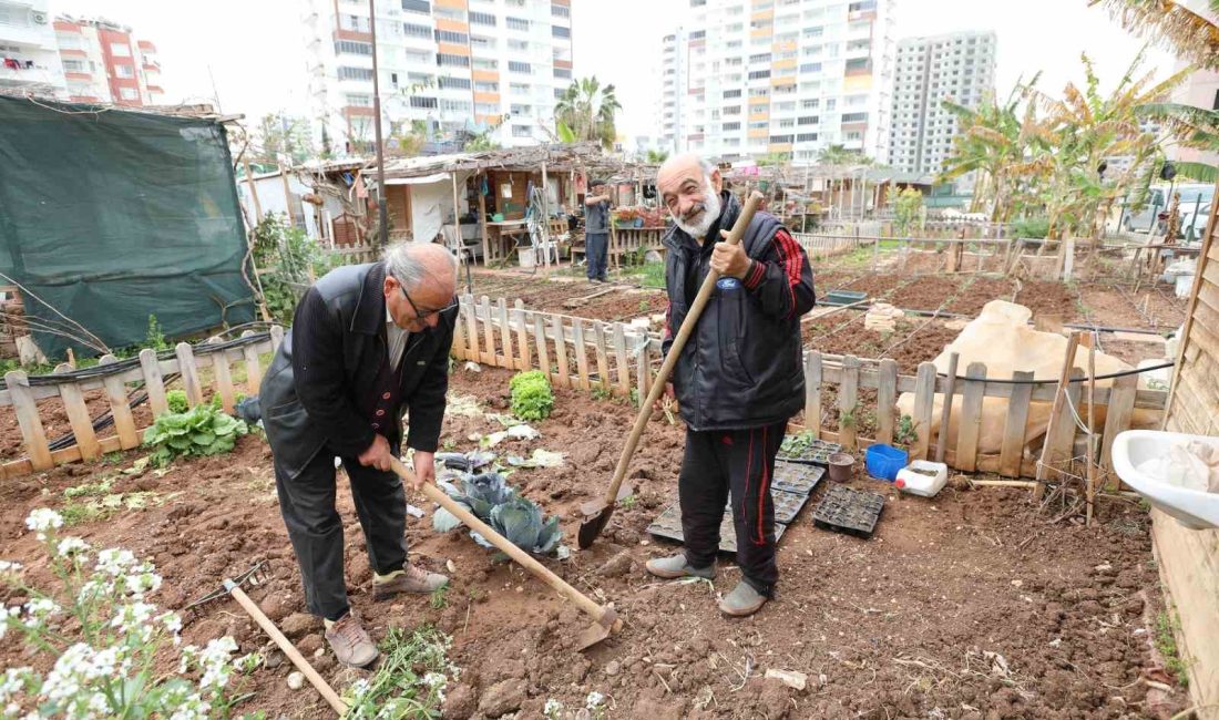 MERSİN'İN MERKEZ İLÇE MEZİTLİ BELEDİYESİ, VATANDAŞLARIN ORGANİK TARIM YAPMALARINI DESTEKLEMEK