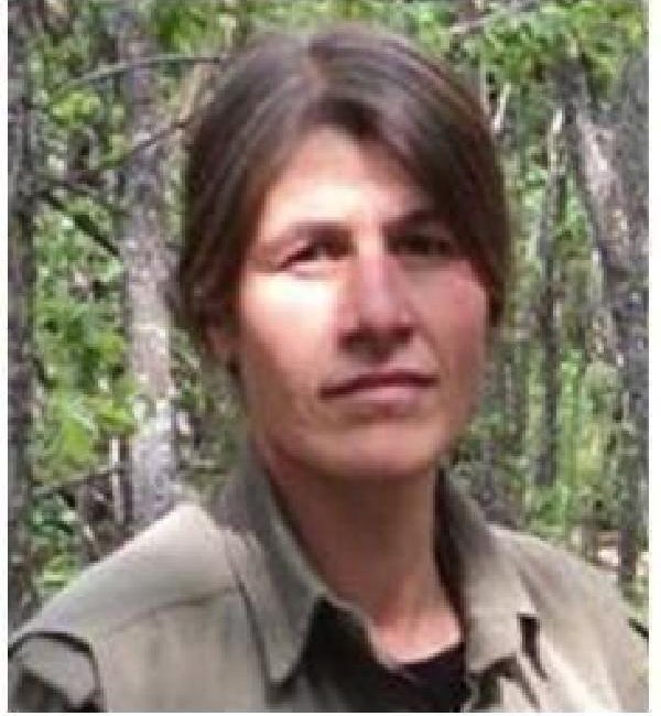 ANKARA, (DHA)- MİLLİ İstihbarat Teşkilatı (MİT), Irak’ın kuzeyindeki Metina bölgesinde