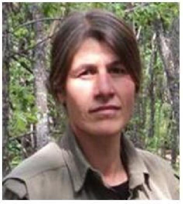 mit teror orgutu pkknin sozde sorumlusunu etkisiz hale getirdi 0cee7e1