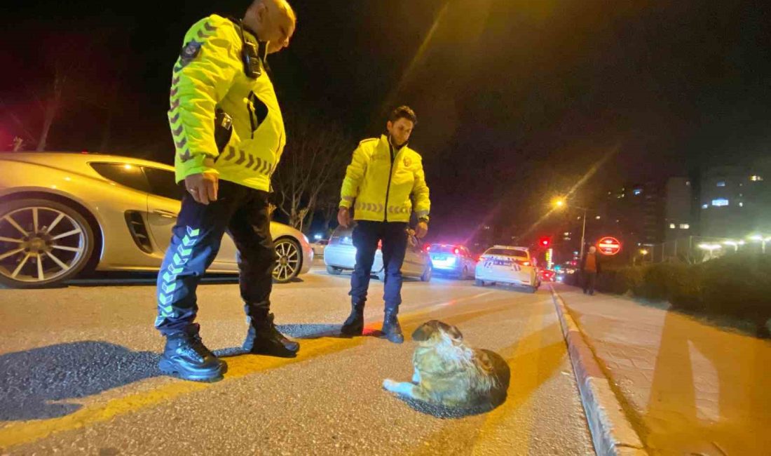 ANTALYA'DA DEVRİYE HALİNDEKİ TRAFİK POLİSLERİ, YOLUN KARŞISINA GEÇMEYE ÇALIŞAN VE