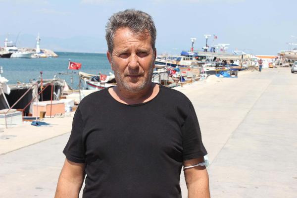 sicaklik artinca balon baligi da rota degistirdi 25aaed2