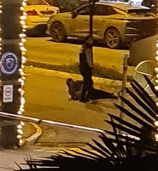 Muharrem ÇAM -Kasım AKTAĞ/ İSTANBUL, (DHA)- ÜMRANİYE’de cadde üzerinde hızlı