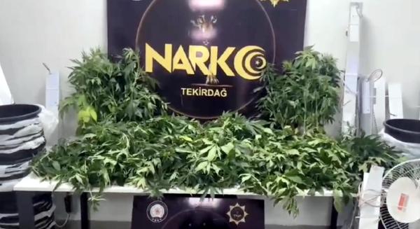 villada kenevir yetistiren 2 supheli tutuklandi 75a036d