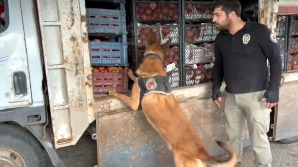 ANKARA, (DHA)- İÇİŞLERİ Bakanı Ali Yerlikaya, 48 ilde düzenlenen ‘Narkogüç-48’