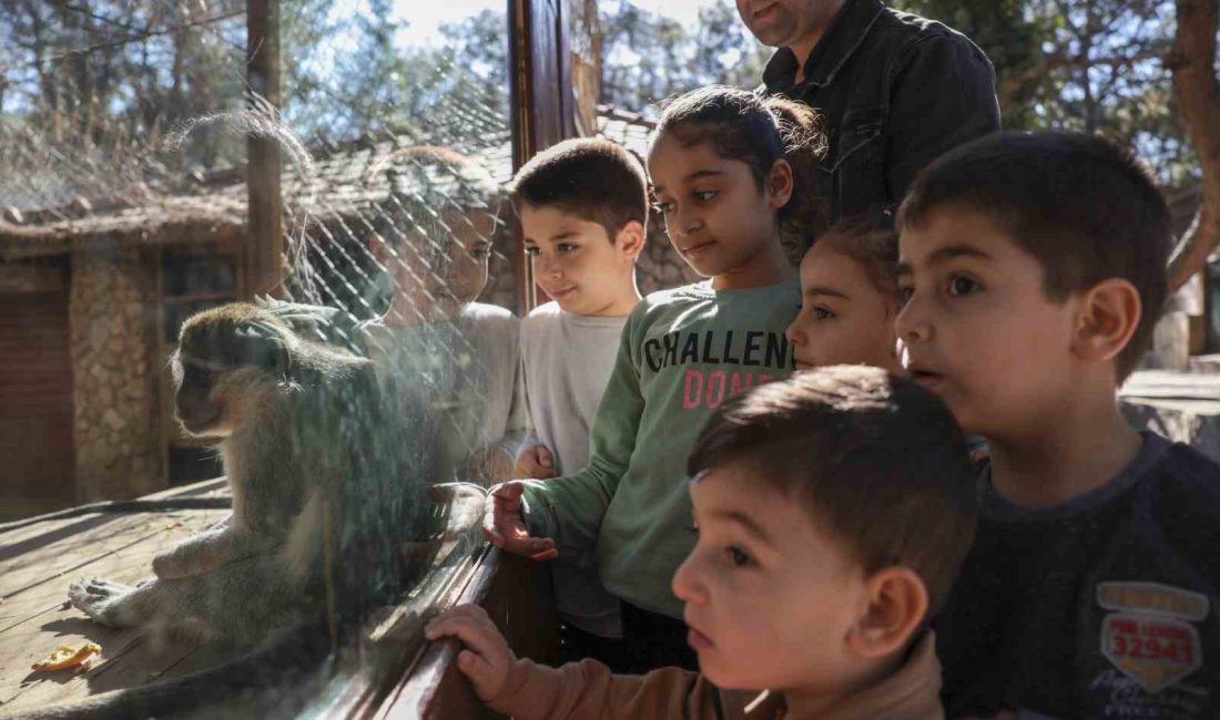 127 TÜRDE BİN 400 HAYVANA EV SAHİPLİĞİ YAPAN ANTALYA BÜYÜKŞEHİR