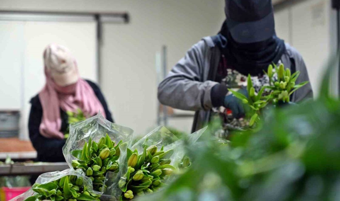 Geçtiğimiz yılın 6 Şubat’ında yaşanan asrın felaketi nedeniyle satış yapamayan