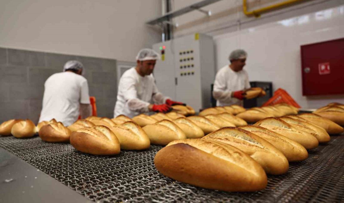 210 GRAM EKMEK, BÜYÜKŞEHİR BELEDİYESİ HALK EKMEK BÜFELERİNDE 4,5 LİRADAN