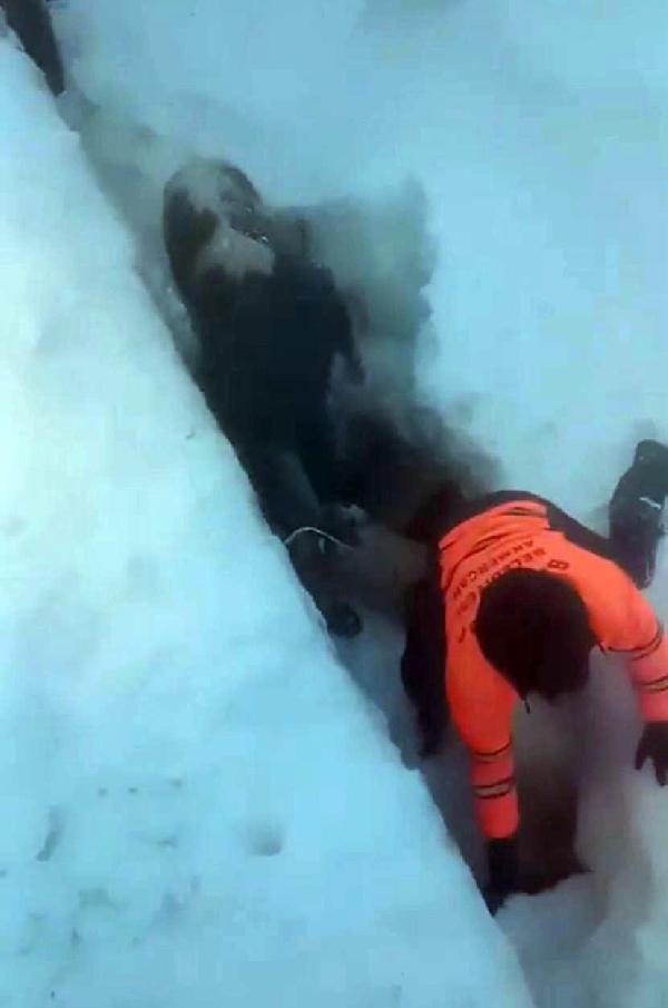 Ardahan'da 4 evin üzerine çığ düştü; 11 kişi kendi imkanlarıyla kurtuldu