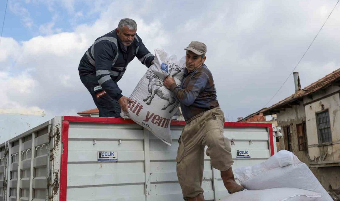ANTALYA BÜYÜKŞEHİR BELEDİYESİ, KORKUTELİ’NDE BÜYÜKBAŞ HAYVAN YETİŞTİRİCİLERİNE 10 TON, YÜZDE