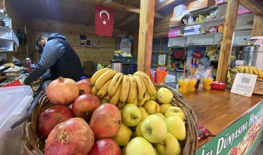 KIŞ AYLARINDA TAZE MEYVELERİN BİR ARAYA GELDİĞİ VE HALK ARASINDA
