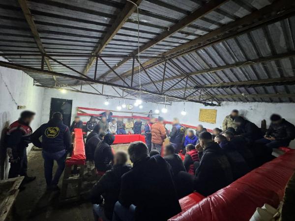 Horoz dövüştürenlere baskın; 224 bin TL ceza kesildi